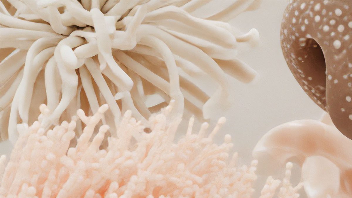 Even a small act, done with love, can ripple across generations.