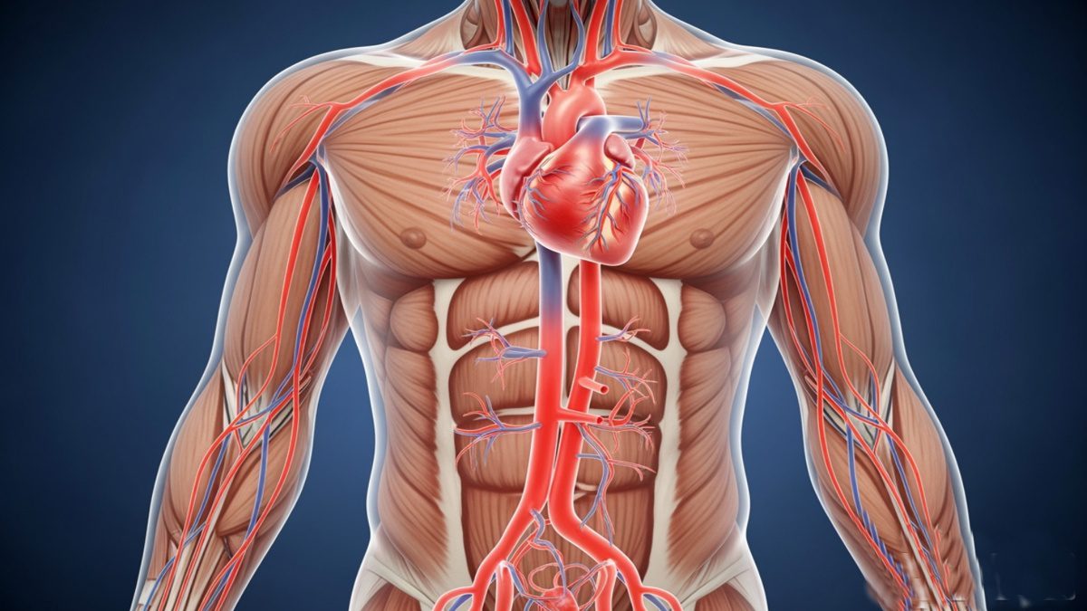 Body Signs You Should Not Ignore